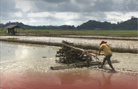 COMYOUTHNITY - PART 1 : ECO WARRIORS